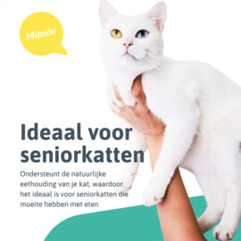 Moowi verstelbare voerbak voor kat en hond zwart