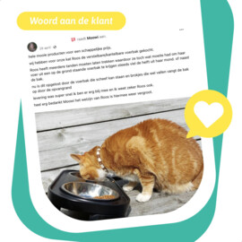 Moowi verstelbare voerbak voor kat en hond zwart